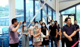 临朐网红大玲子事件,揭秘网络红人的争议与真相